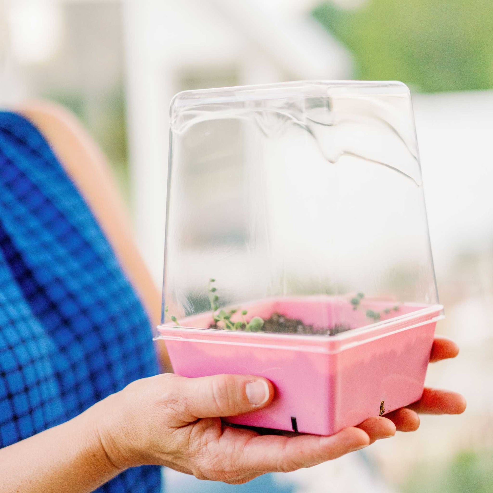 5x5 Grow Trays - Extra Strength Inserts - Tampa soil911.com