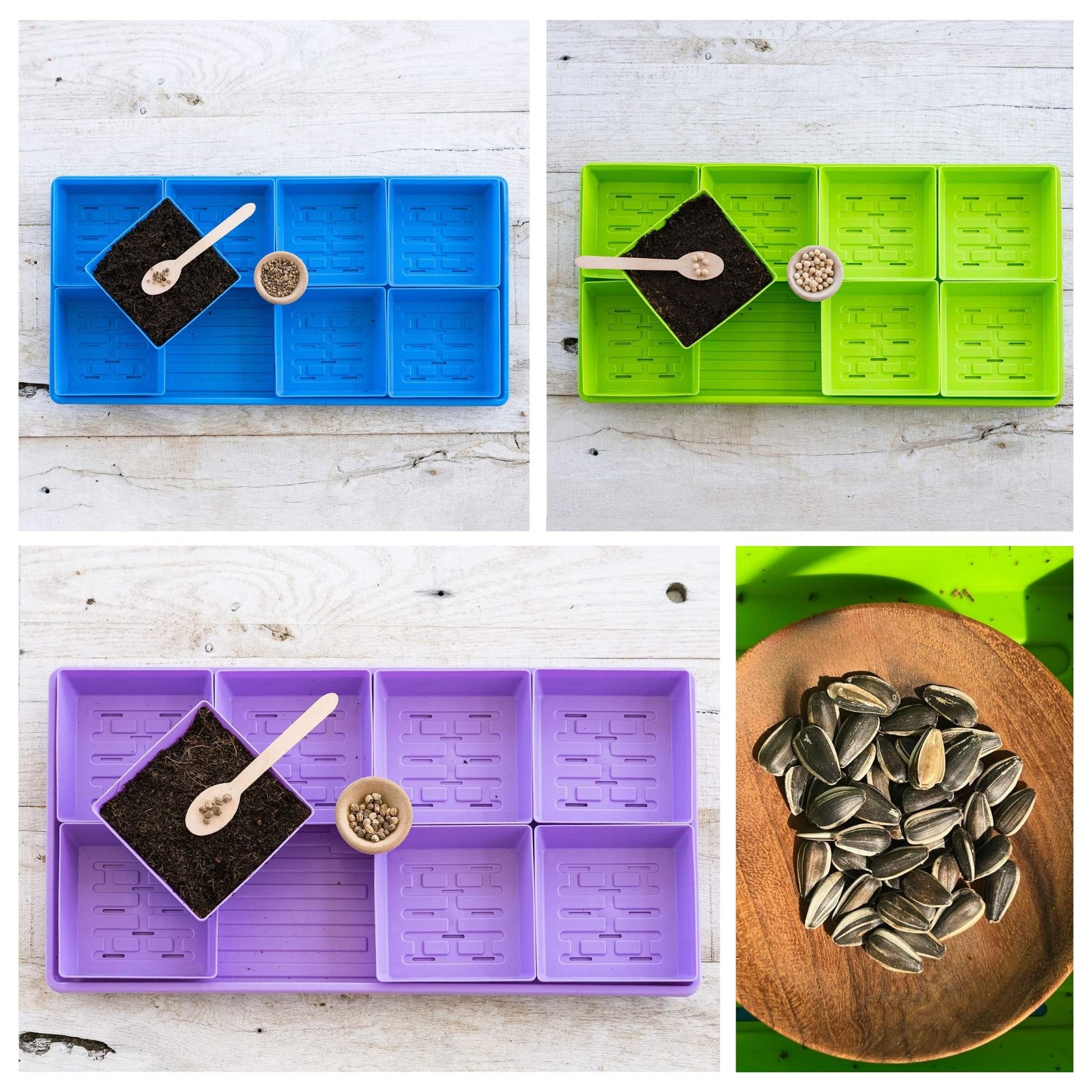 5x5 Microgreens Kit - Tampa Home & Garden Store