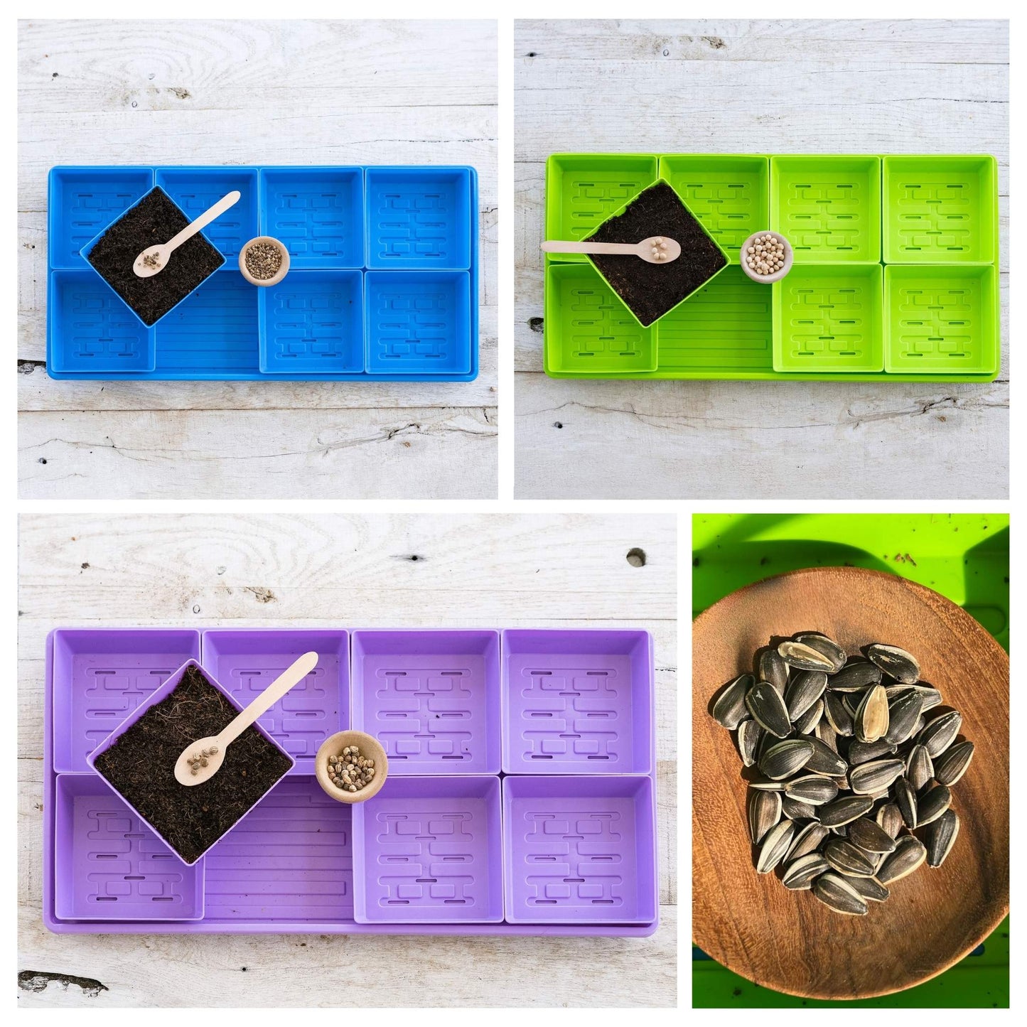 Kit de micro-pousses 5x5