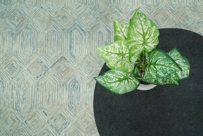 - image on Tampa Home & Garden Store