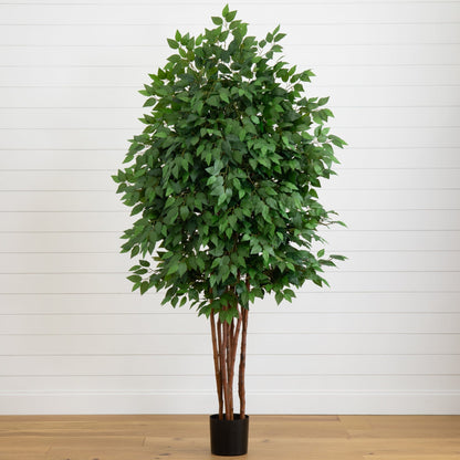 6.5’ Deluxe Ficus Tree - Tampa Home & Garden Store
