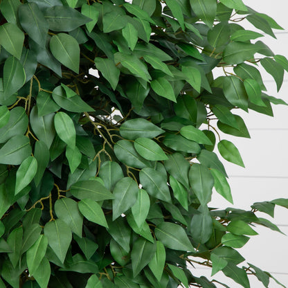 6.5’ Deluxe Ficus Tree - Tampa Home & Garden Store