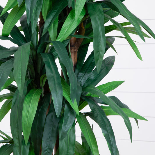 6.5’ Dracaena Tree - Tampa Home & Garden Store
