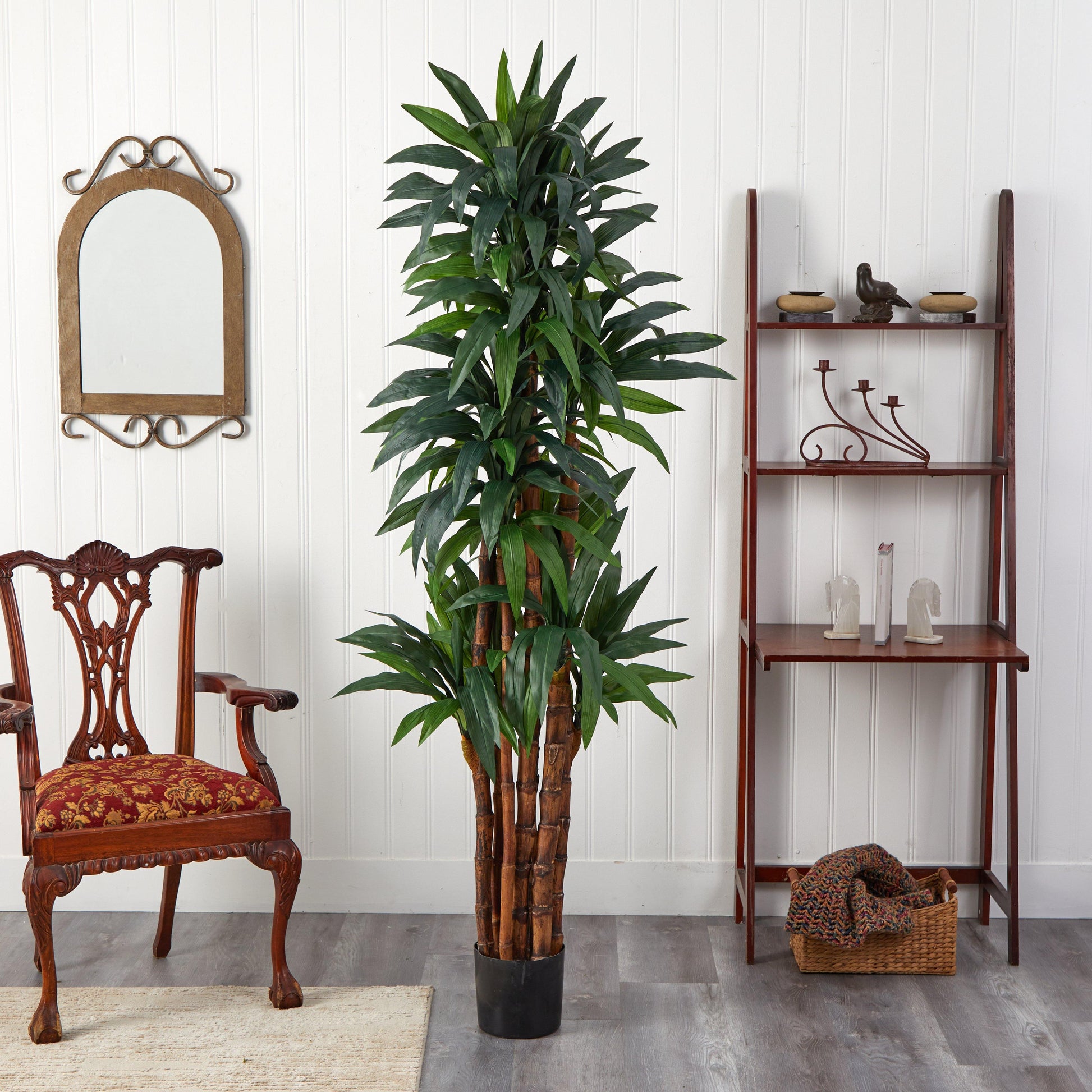 6.5’ Dracaena Tree - Tampa Home & Garden Store
