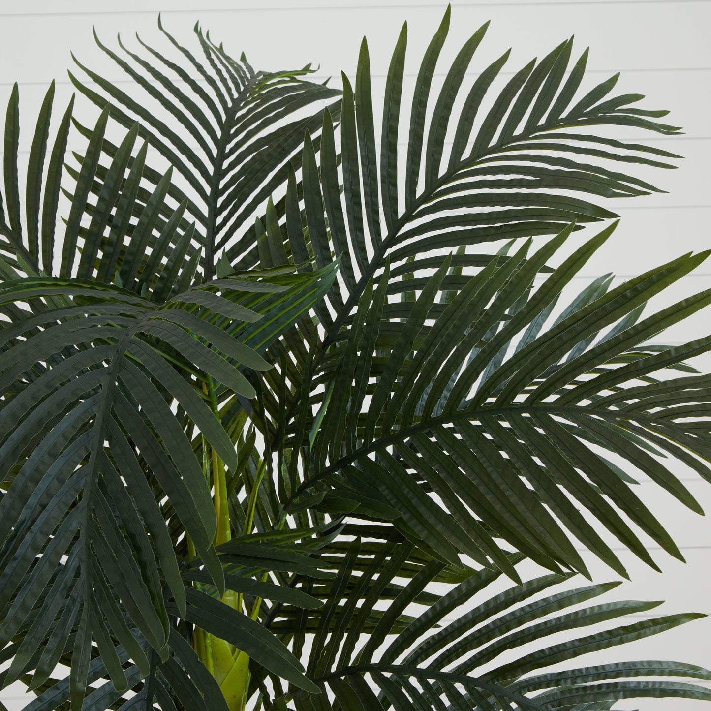 6.5' Golden Cane Artificial Palm Tree - Tampa Home & Garden Store