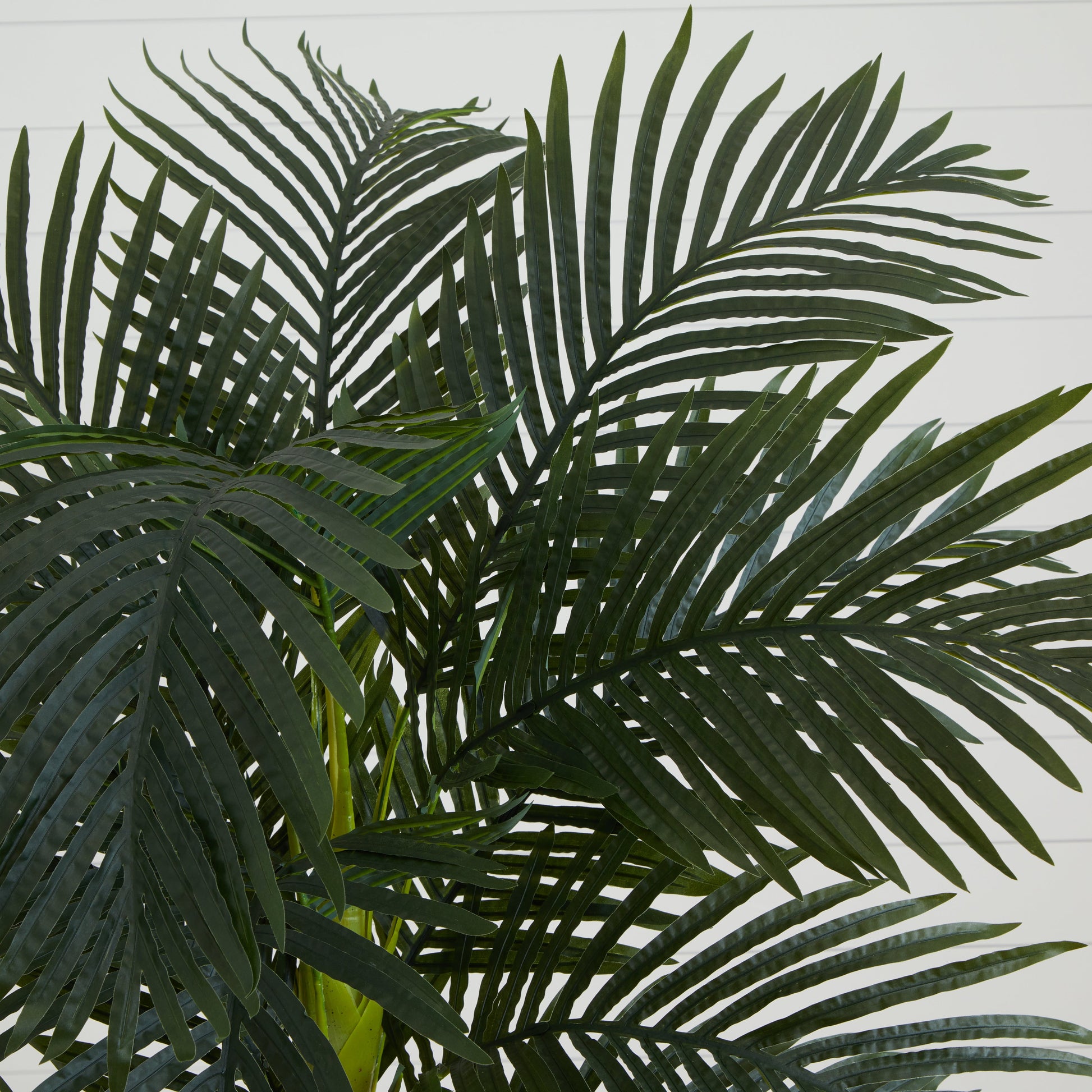 6.5' Golden Cane Artificial Palm Tree - Tampa Home & Garden Store