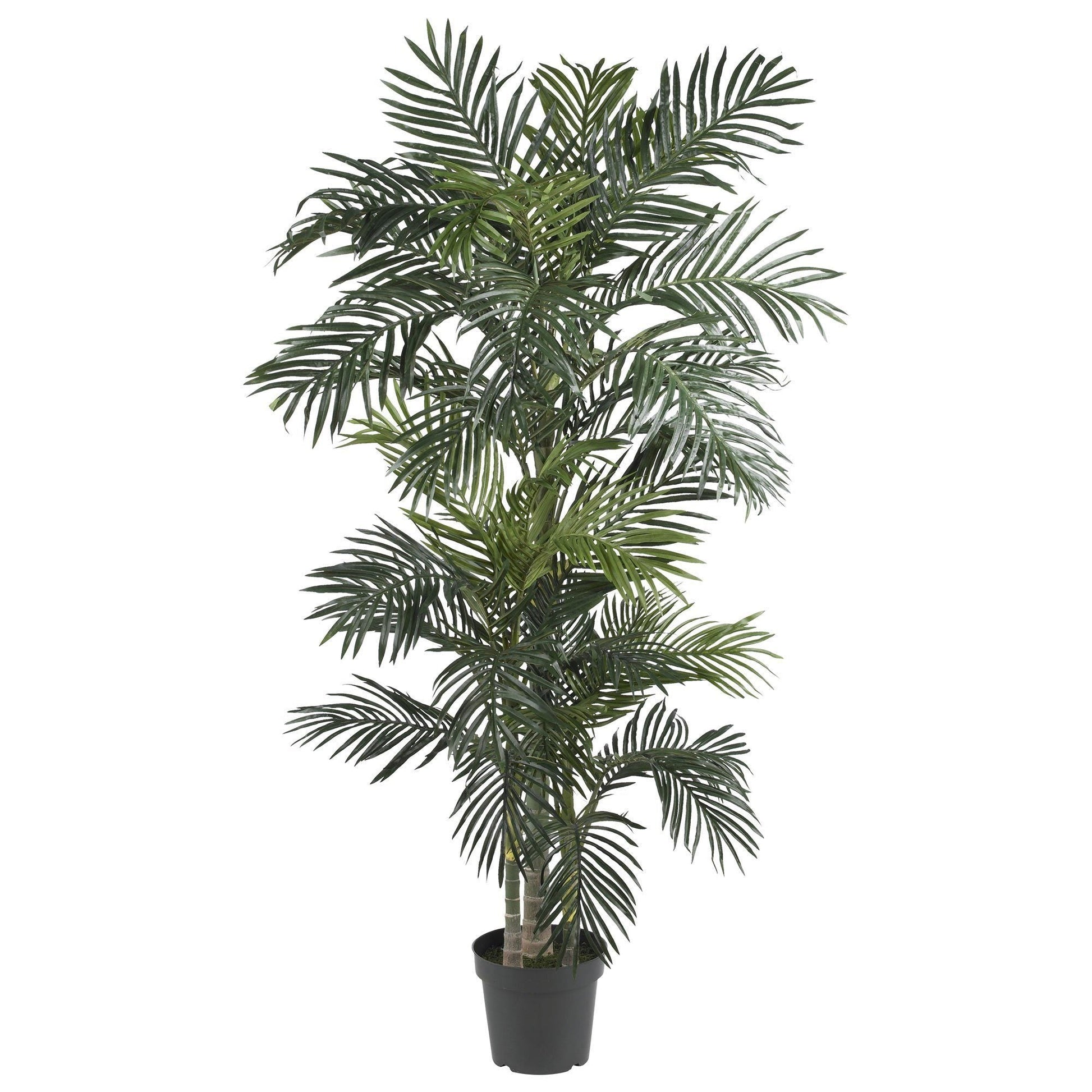 6.5' Golden Cane Artificial Palm Tree - Tampa Home & Garden Store