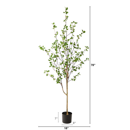 6.5' Minimalist Citrus Tree - Tampa Home & Garden Store