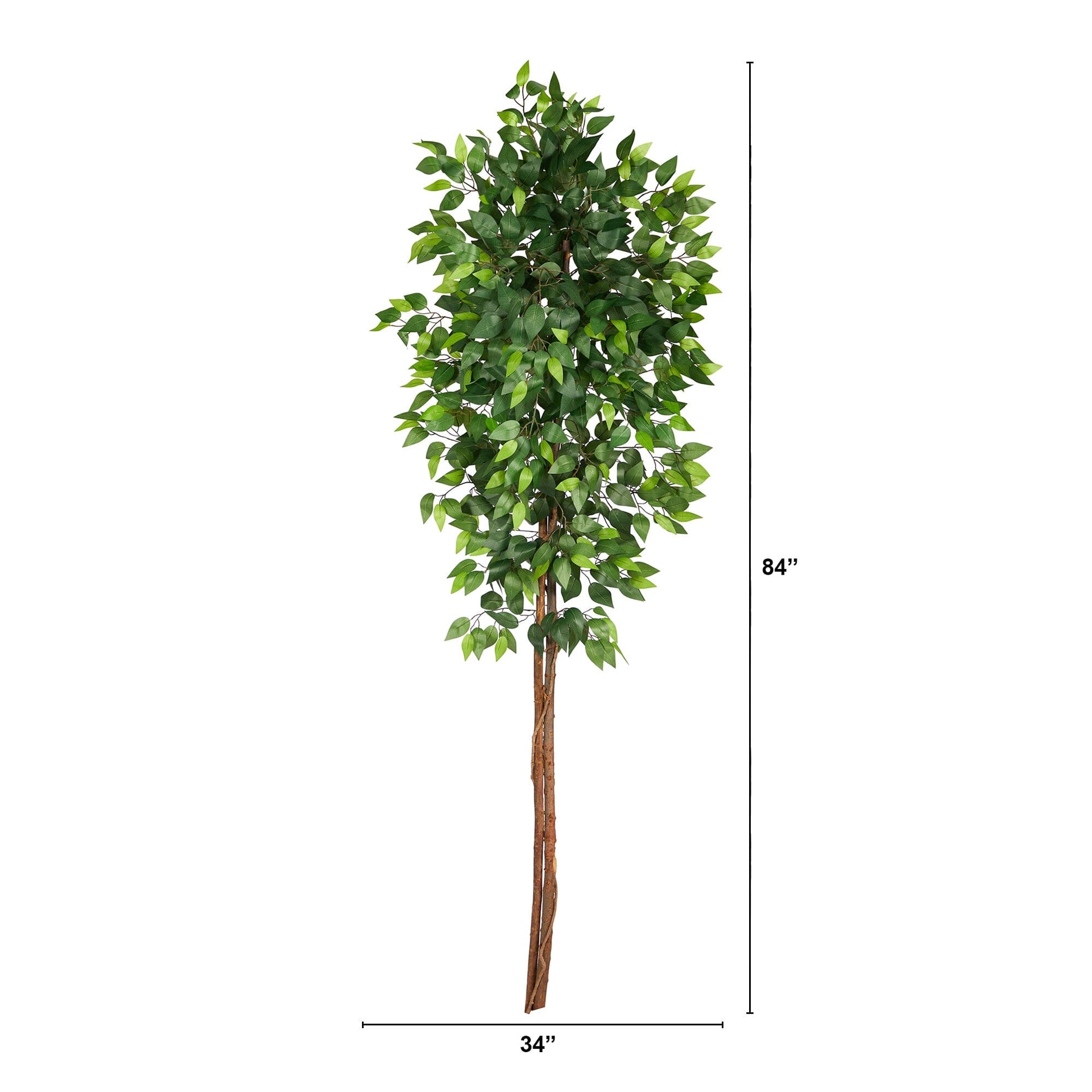 6’ Artificial Double Trunk Ficus Tree (No Pot) - Tampa Home & Garden Store