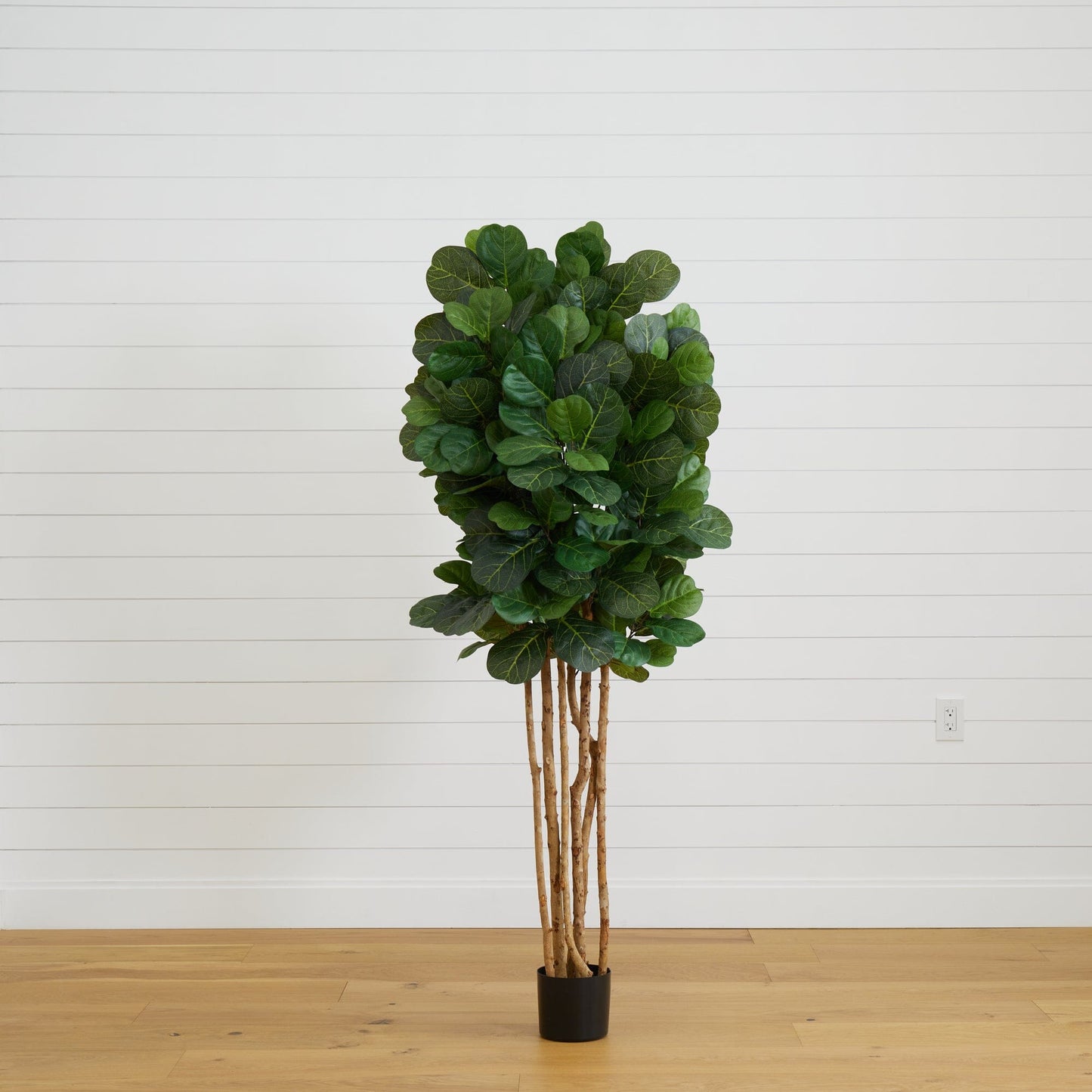 6’ Artificial Fiddle Leaf Fig Tree - Tampa Home & Garden Store