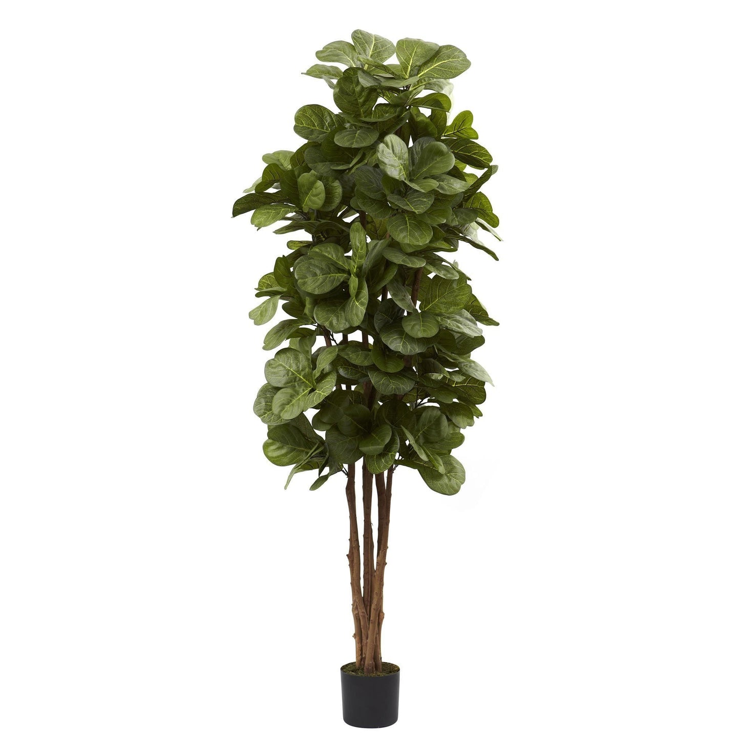 6’ Artificial Fiddle Leaf Fig Tree - Tampa Home & Garden Store