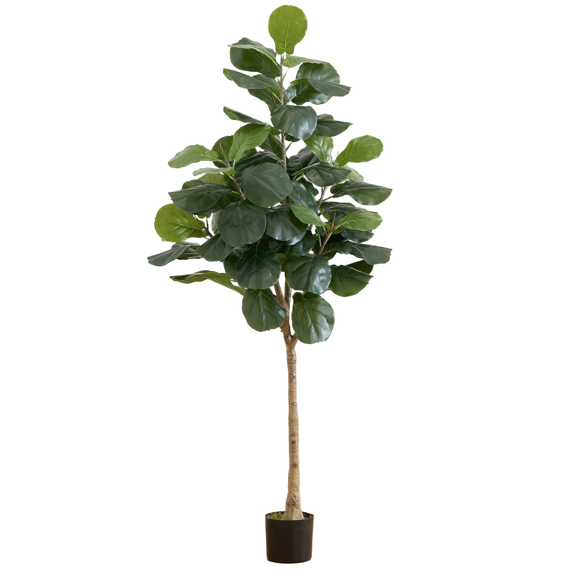6’ Artificial Fiddle Leaf Tree - Tampa Home & Garden Store