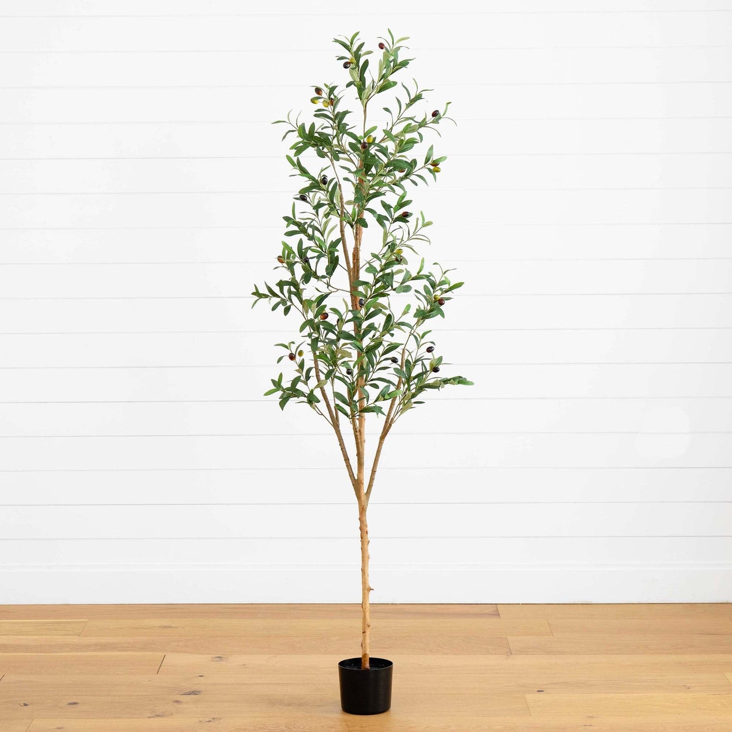 6’ Artificial Olive Tree with Natural Trunk - Tampa Home & Garden Store