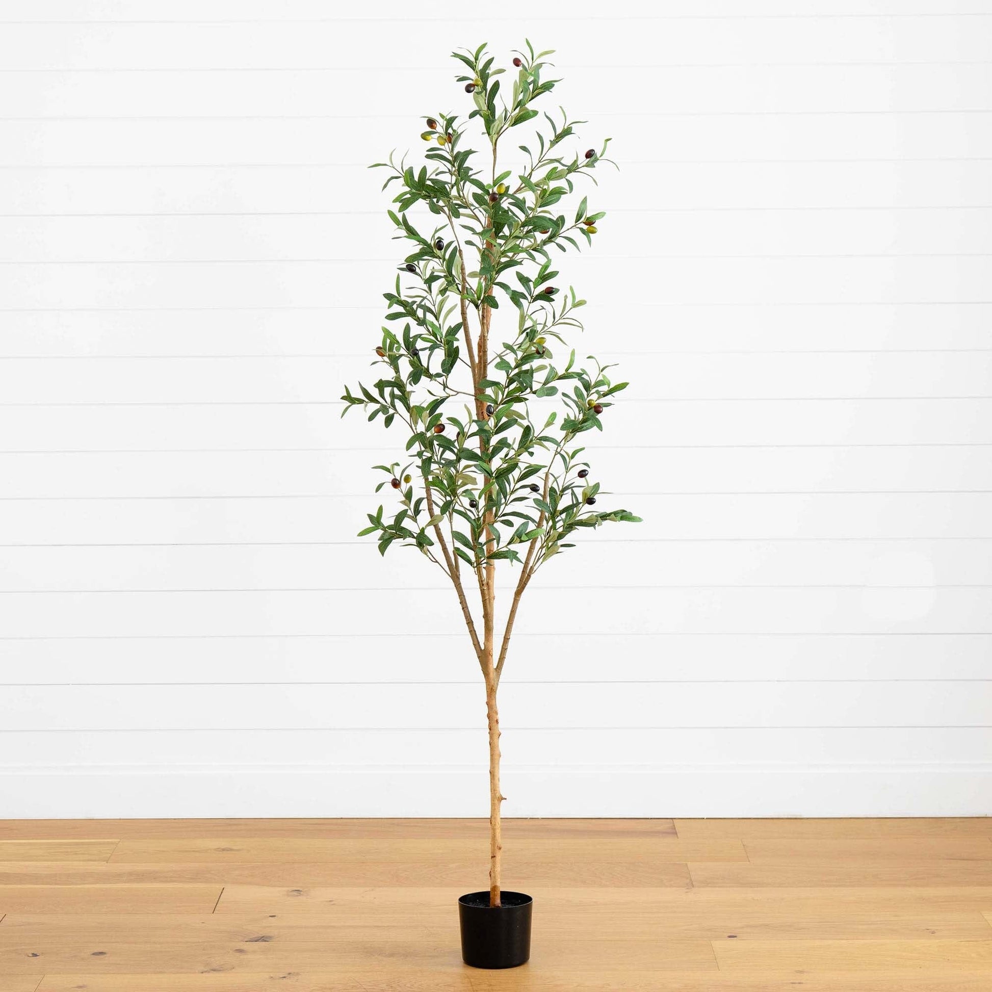 6’ Artificial Olive Tree with Natural Trunk - Tampa Home & Garden Store