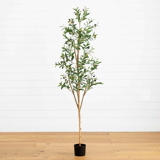 6’ Artificial Olive Tree with Natural Trunk - Tampa Home & Garden Store