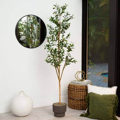 6’ Artificial Olive Tree with Natural Trunk - Tampa Home & Garden Store