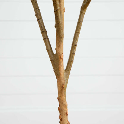 6’ Artificial Olive Tree with Natural Trunk - Tampa Home & Garden Store
