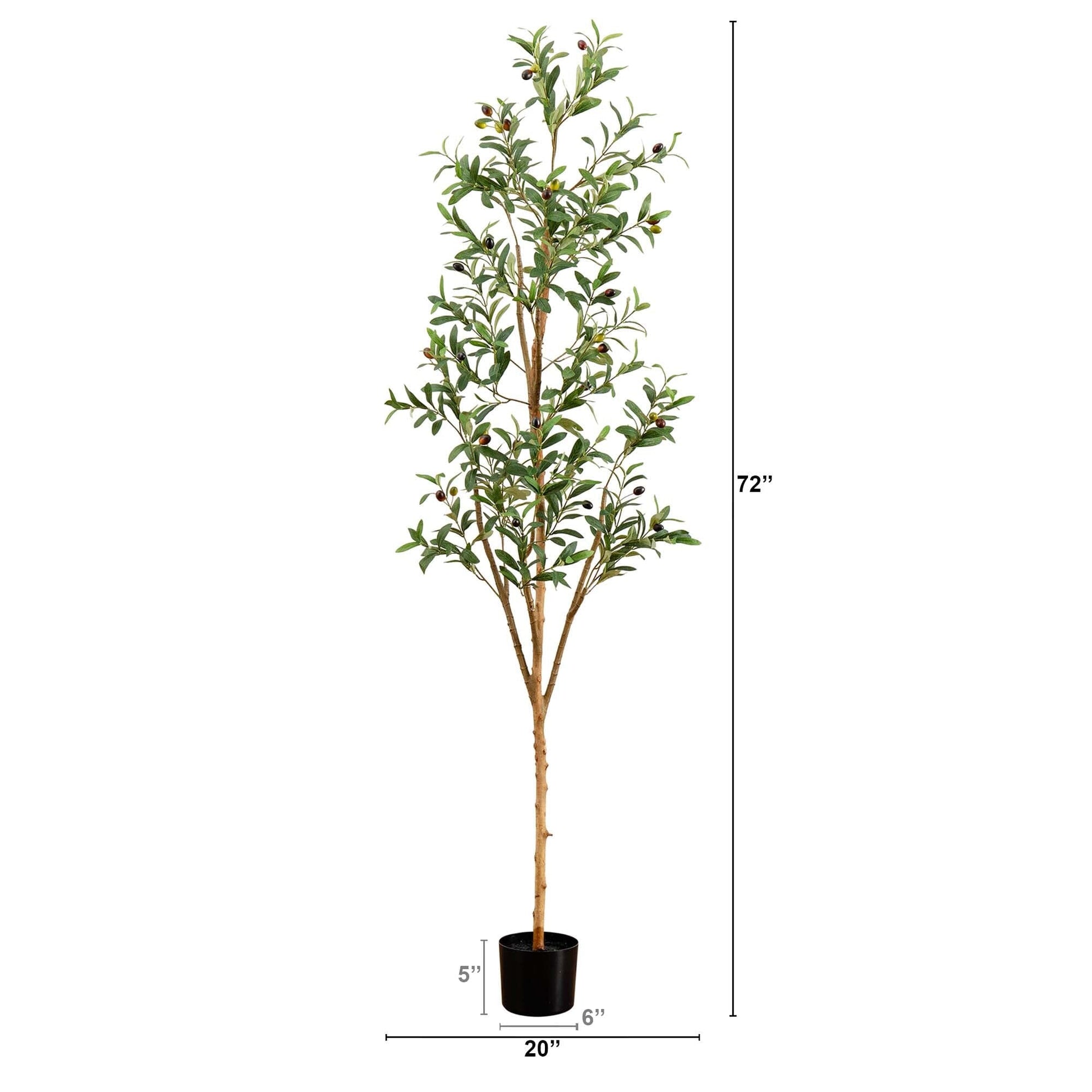 6’ Artificial Olive Tree with Natural Trunk - Tampa Home & Garden Store
