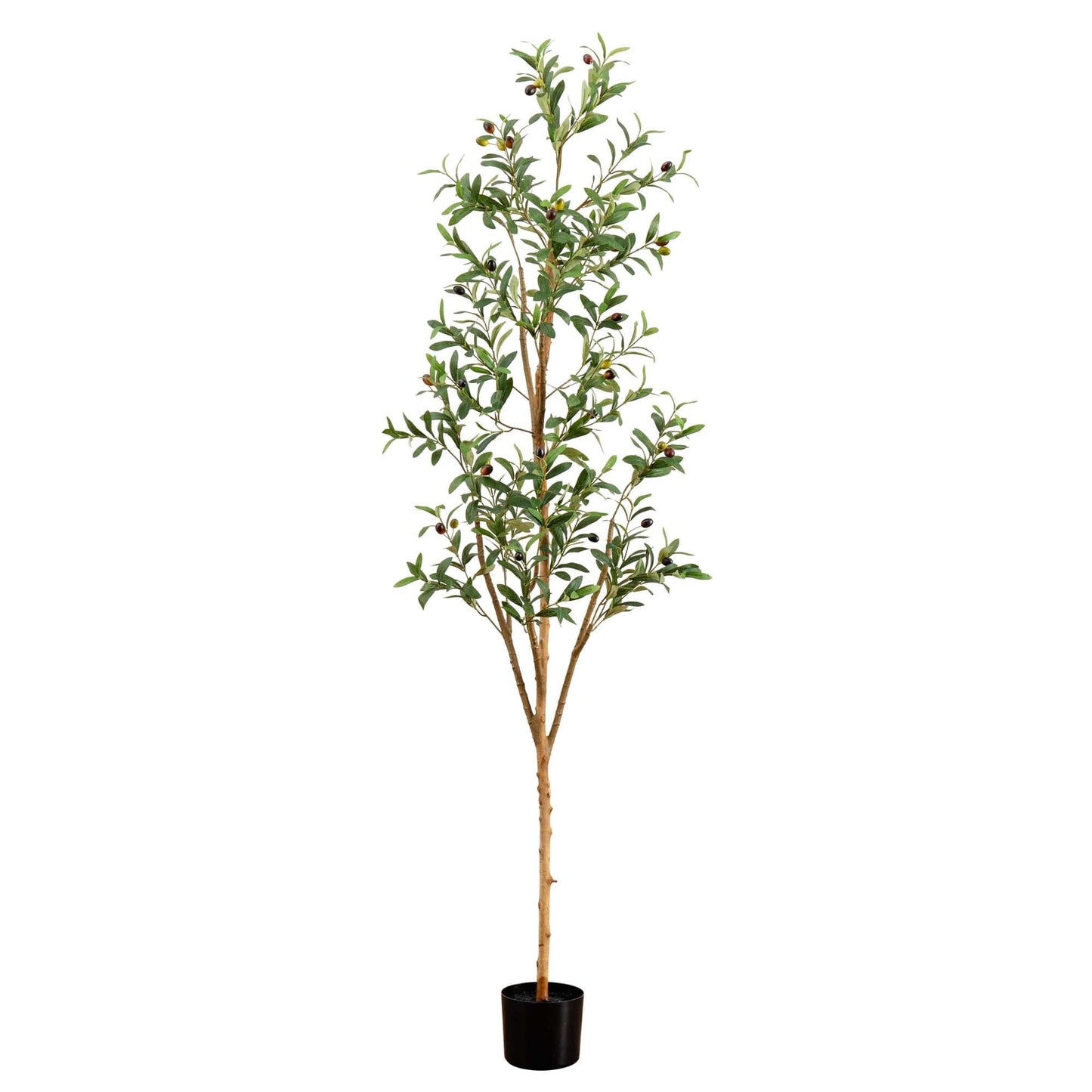 6’ Artificial Olive Tree with Natural Trunk - Tampa Home & Garden Store