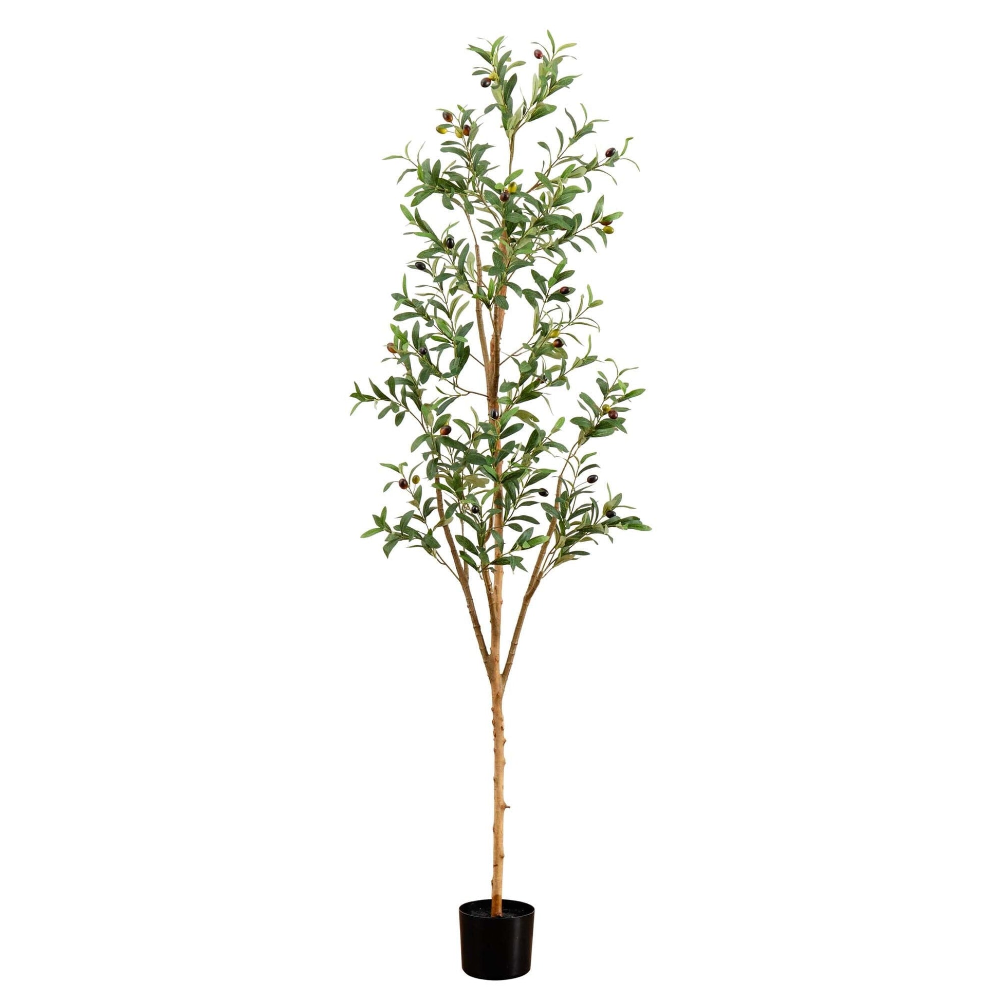 6’ Artificial Olive Tree with Natural Trunk - Tampa Home & Garden Store
