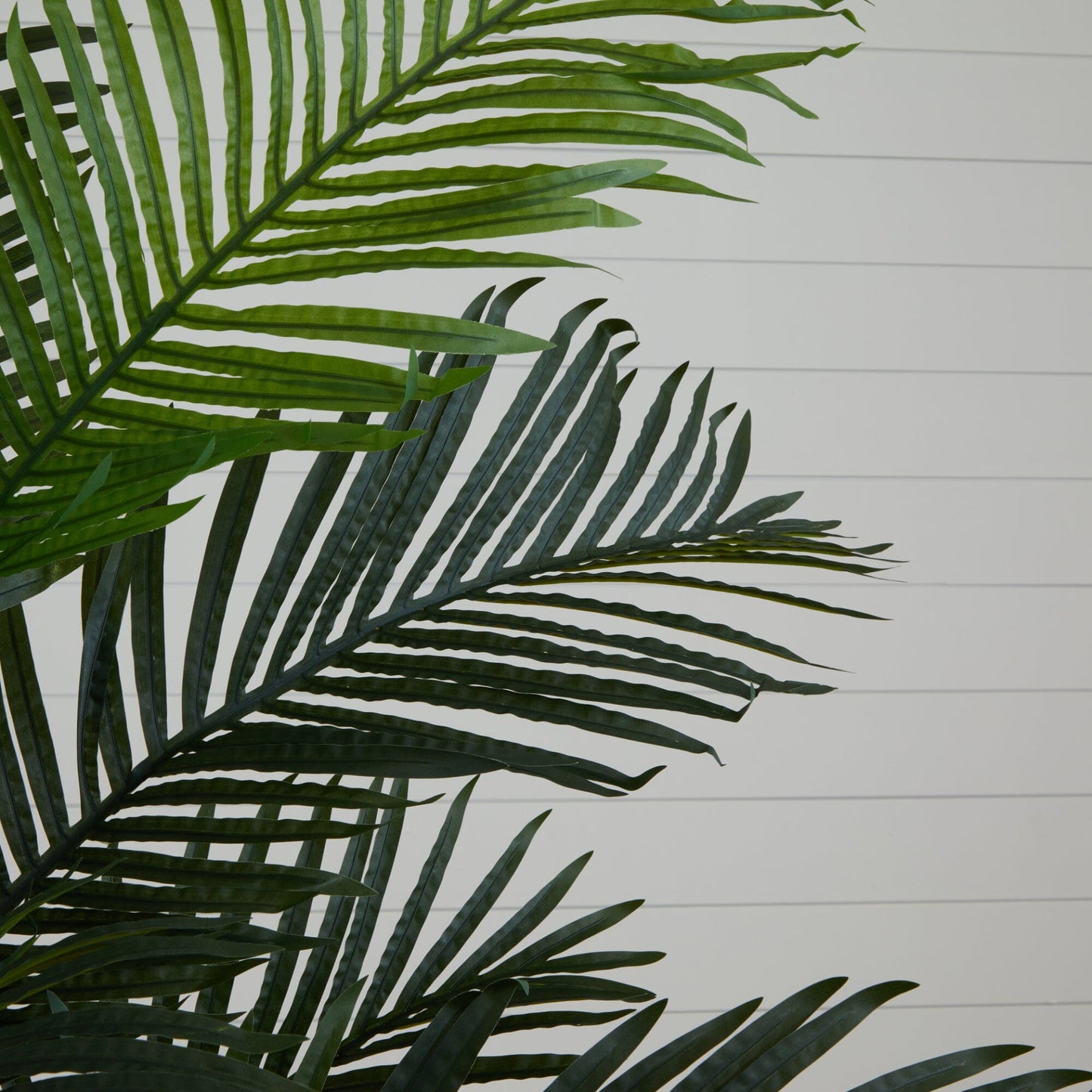 6’ Artificial Paradise Palm Tree - Tampa Home & Garden Store