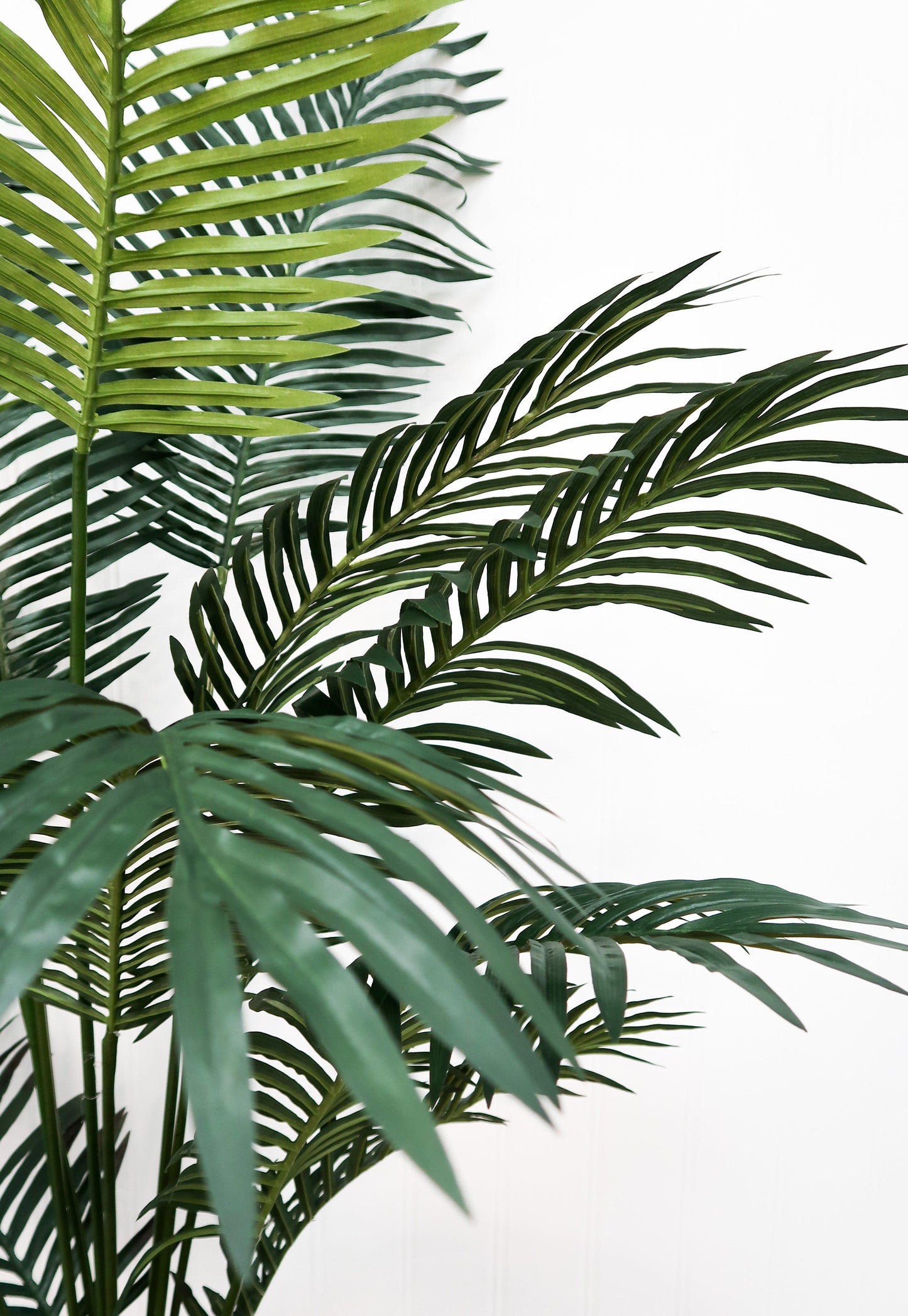 6’ Artificial Paradise Palm Tree - Tampa Home & Garden Store