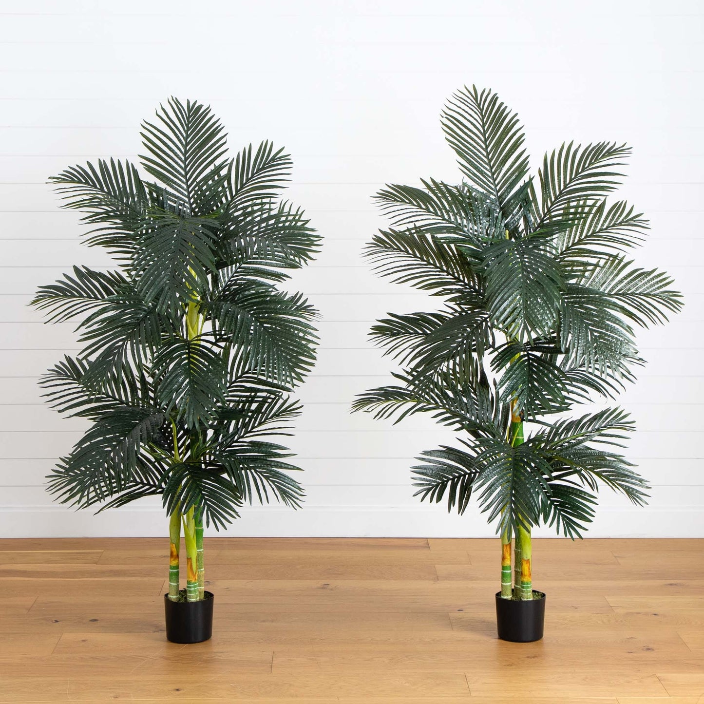 6’ Artificial Triple Stalk Golden Cane Palm Tree- Set of 2 - Tampa Home & Garden Store