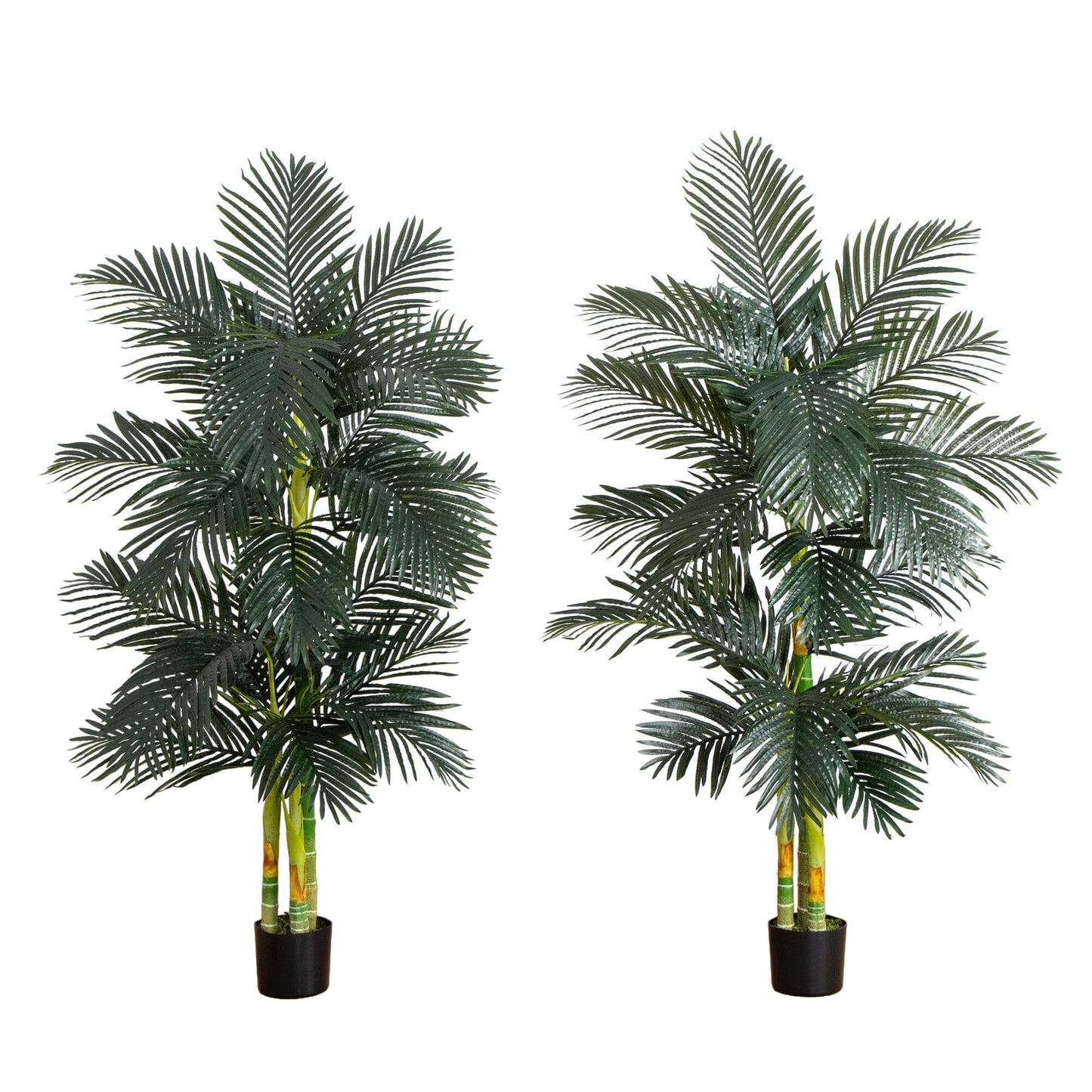 6’ Artificial Triple Stalk Golden Cane Palm Tree- Set of 2 - Tampa Home & Garden Store