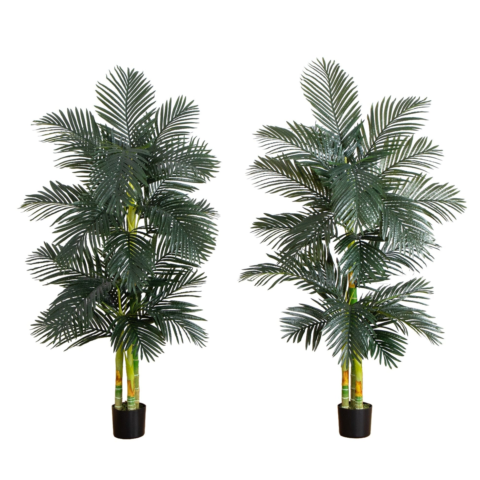 6’ Artificial Triple Stalk Golden Cane Palm Tree- Set of 2 - Tampa Home & Garden Store
