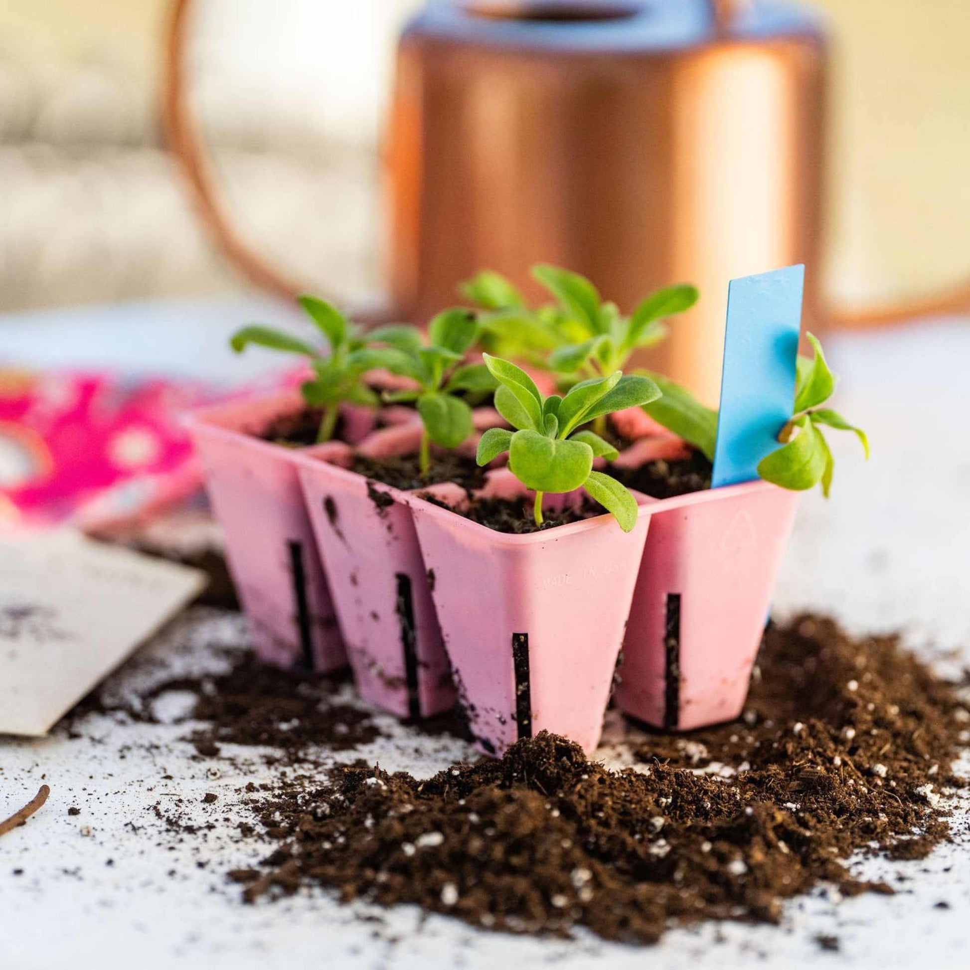6 Cell Seed Tray Cell Plug Tray - Tampa Home & Garden Store