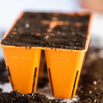 6 Cell Seed Tray Cell Plug Tray - Tampa Home & Garden Store