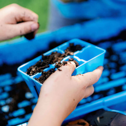 6 Cell Seed Tray Cell Plug Tray - Tampa Home & Garden Store