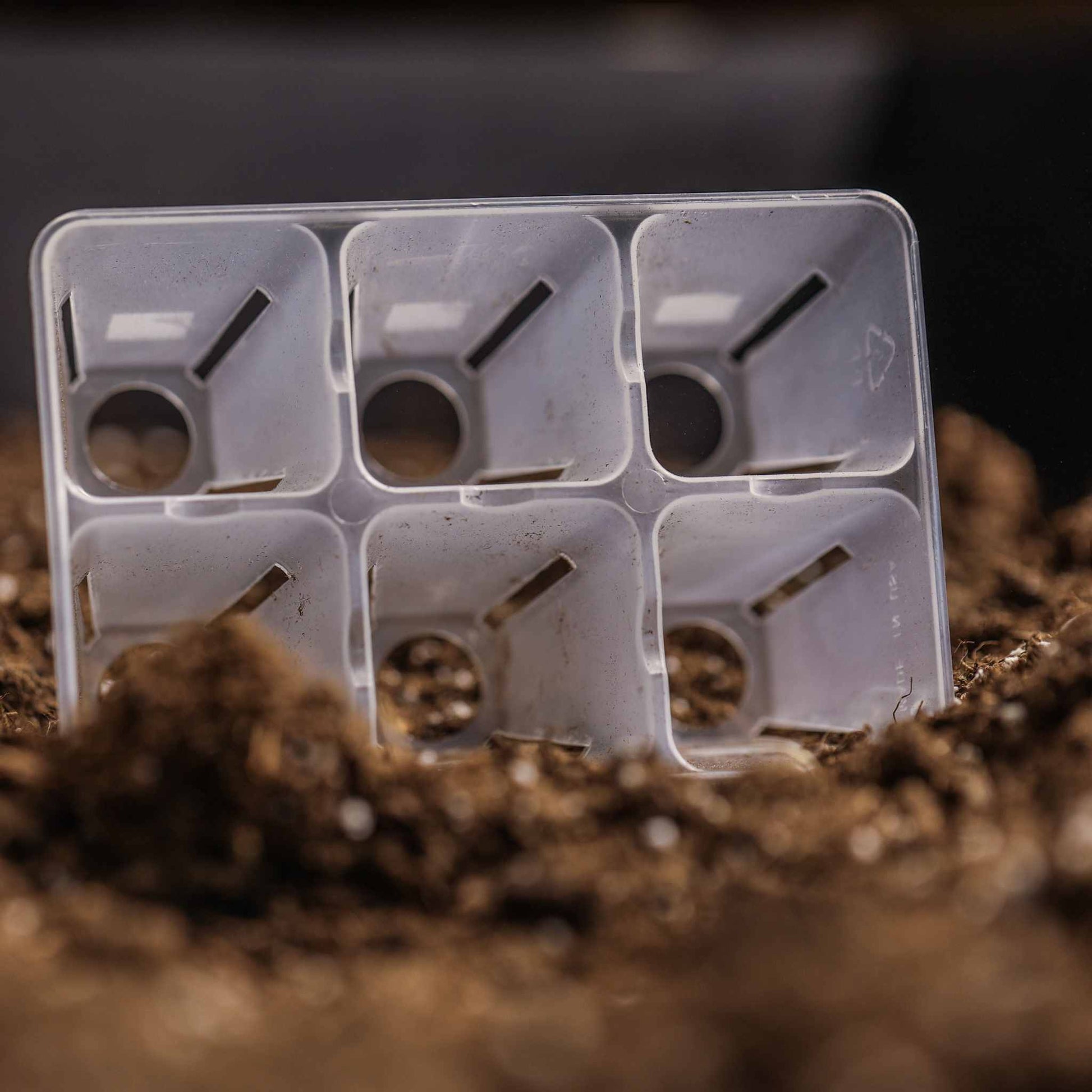6 Cell Seed Tray Cell Plug Tray - Tampa Home & Garden Store
