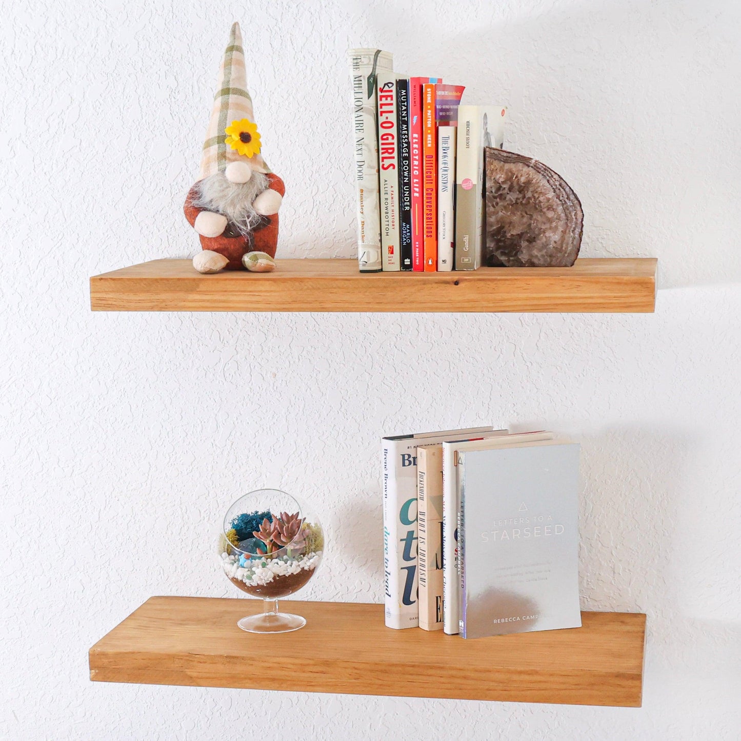 6" Glass Chalice Succulent Terrarium Kit - Tampa soil911.com