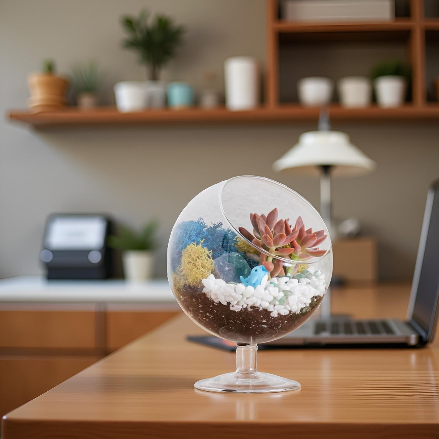 6" Glass Chalice Succulent Terrarium Kit - Tampa Home & Garden Store