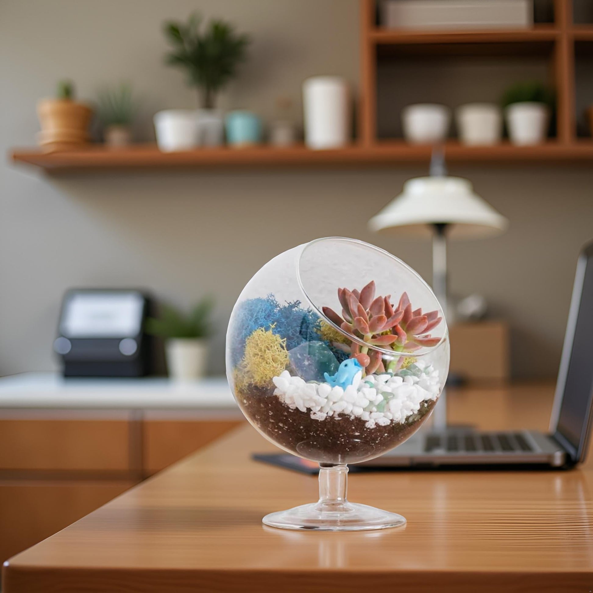 6" Glass Chalice Succulent Terrarium Kit - Tampa Home & Garden Store