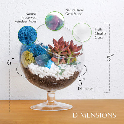 6" Glass Chalice Succulent Terrarium Kit - Tampa Home & Garden Store