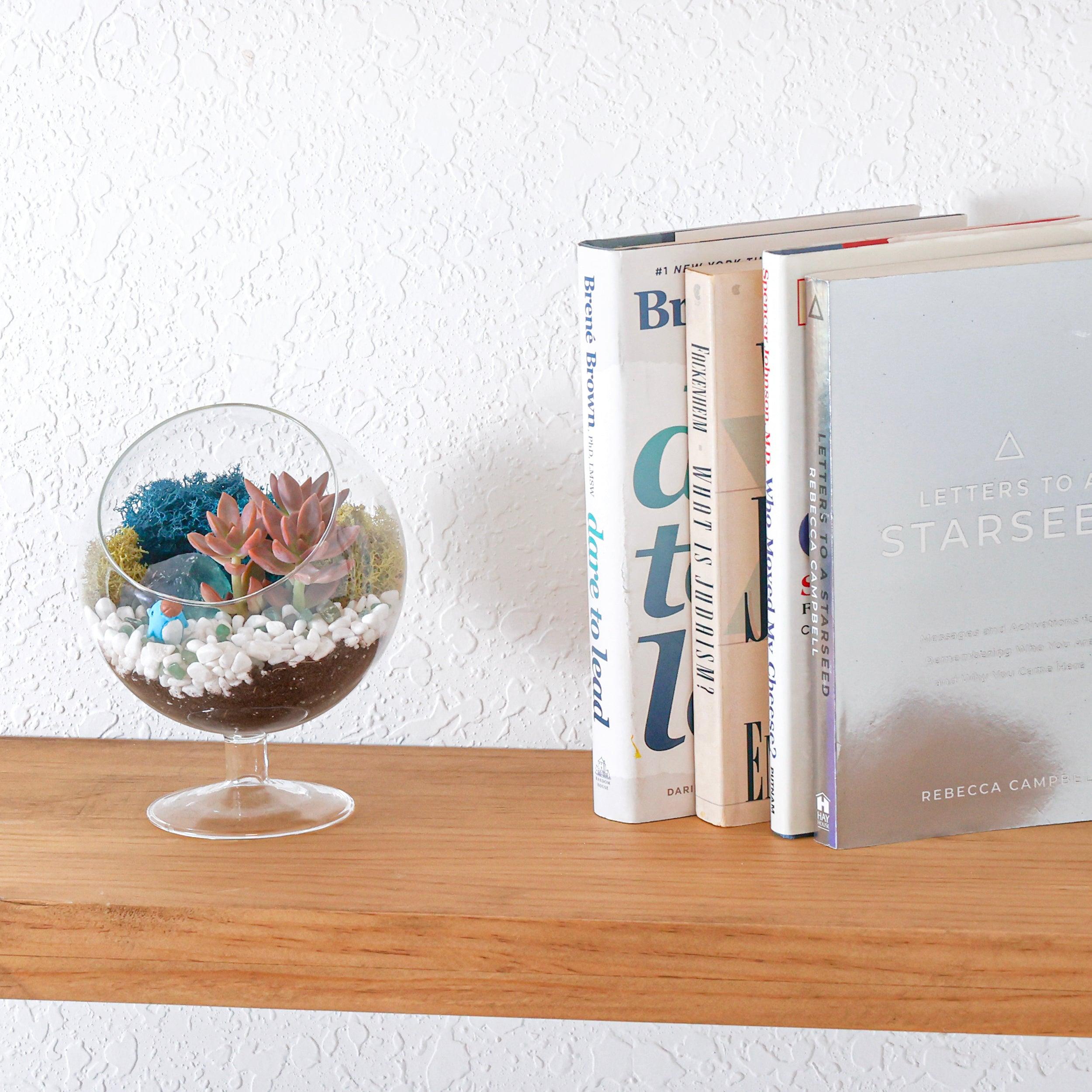 succulent coffee table book 6" Glass Chalice Succulent Terrarium Kit – Tampa Home & Garden Store