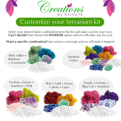 6" Glass Chalice Succulent Terrarium Kit - Tampa Home & Garden Store