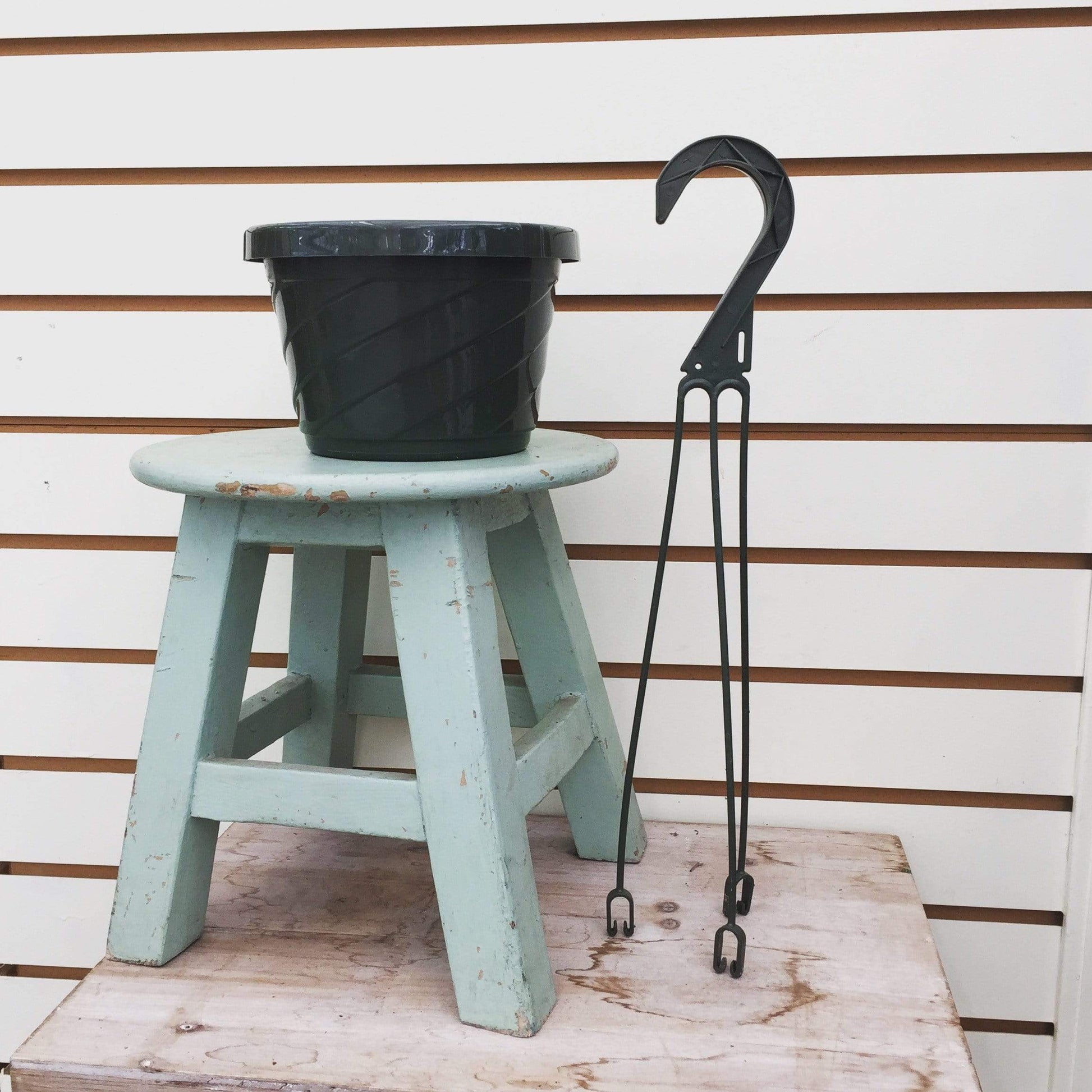 6" Growing Pot - Tampa Home & Garden Store