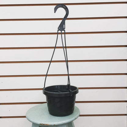 6" Growing Pot - Tampa Home & Garden Store