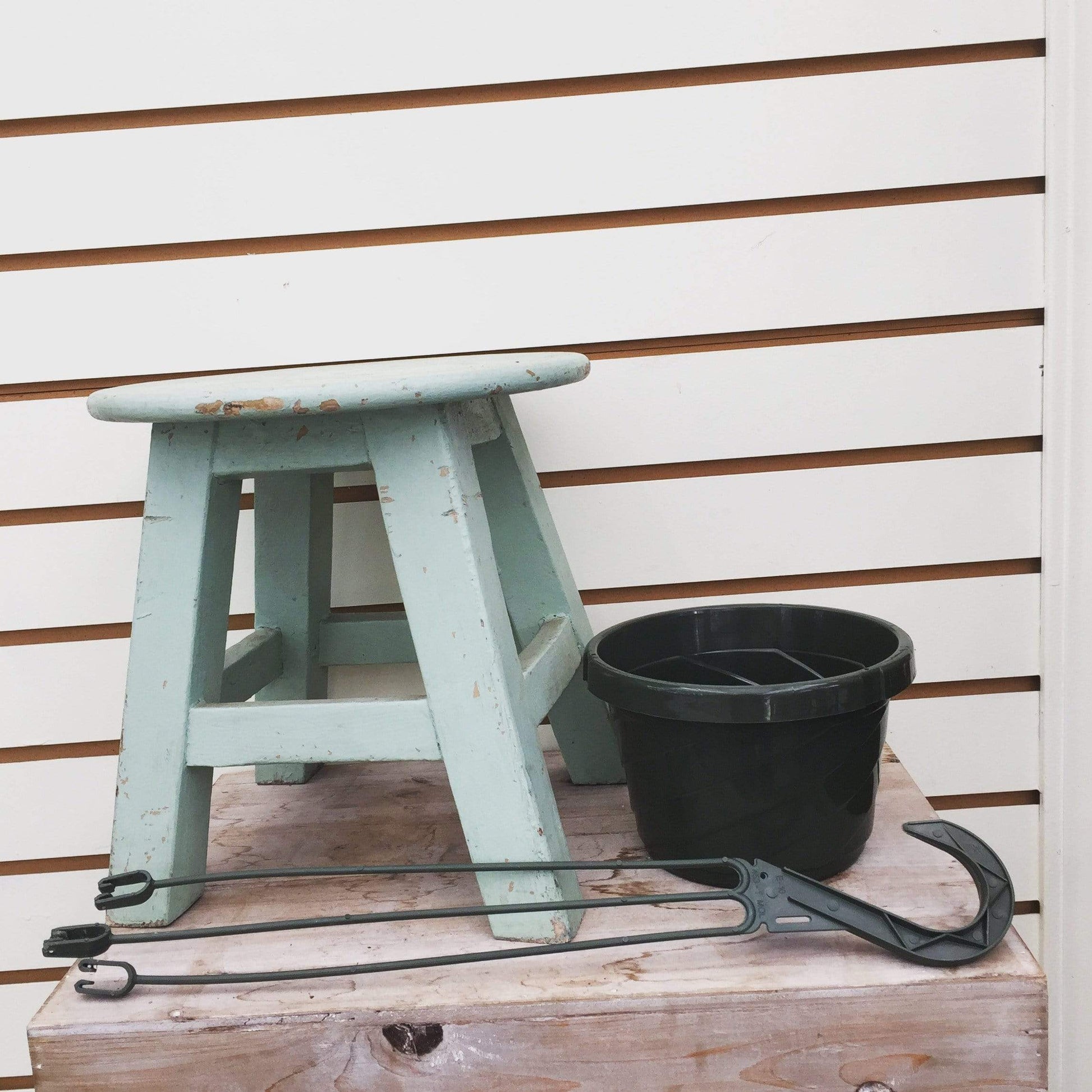 6" Growing Pot - Tampa Home & Garden Store