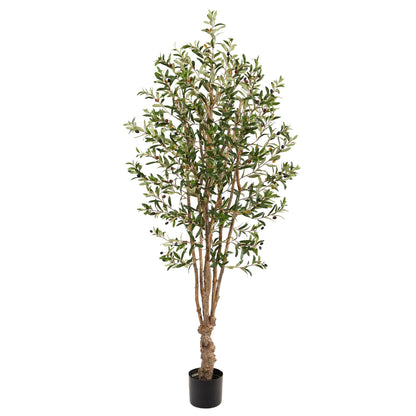 6’ Olive Artificial Tree with 1656 Leaves - Tampa Home & Garden Store