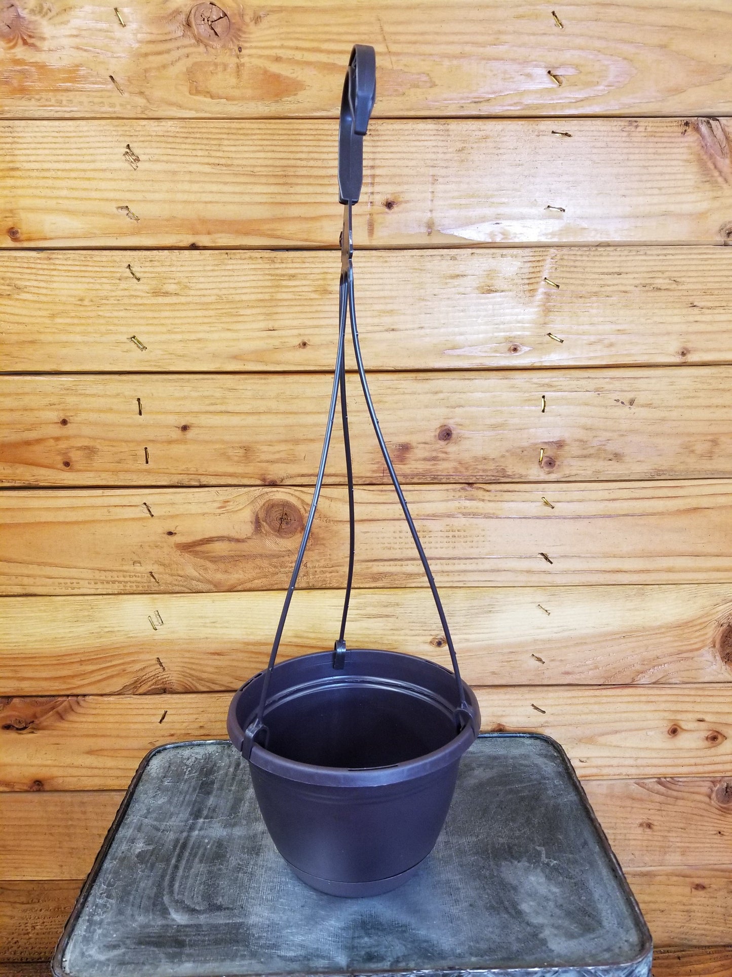 6" Starter Kit (Plugs) - Tampa Home & Garden Store