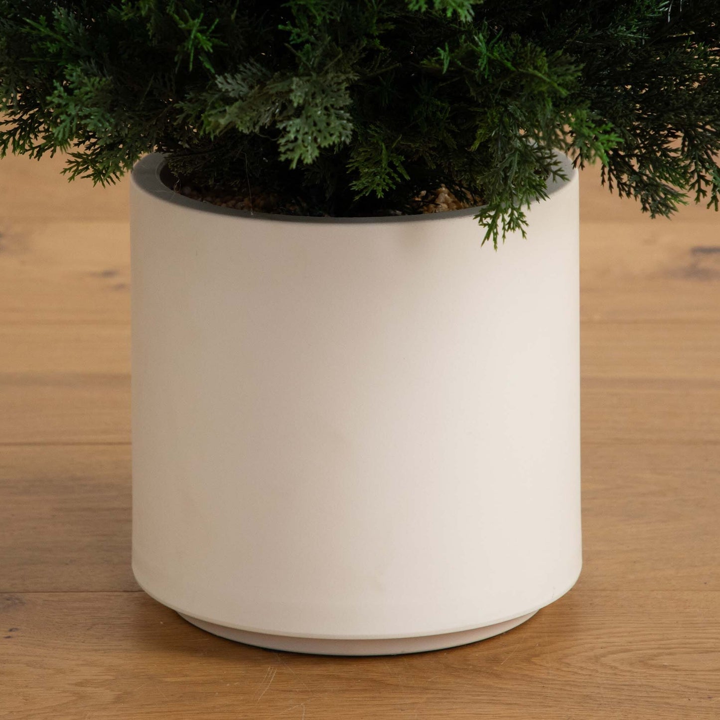 6’ UV Resistant Artificial Cedar Tree in Decorative White Planter (Indoor/Outdoor) - Tampa Home & Garden Store