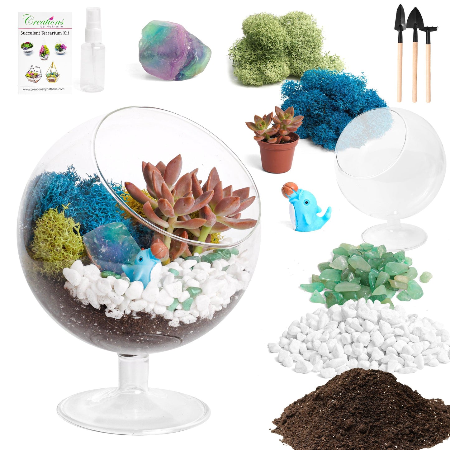 6" Glass Chalice Succulent Terrarium Kit