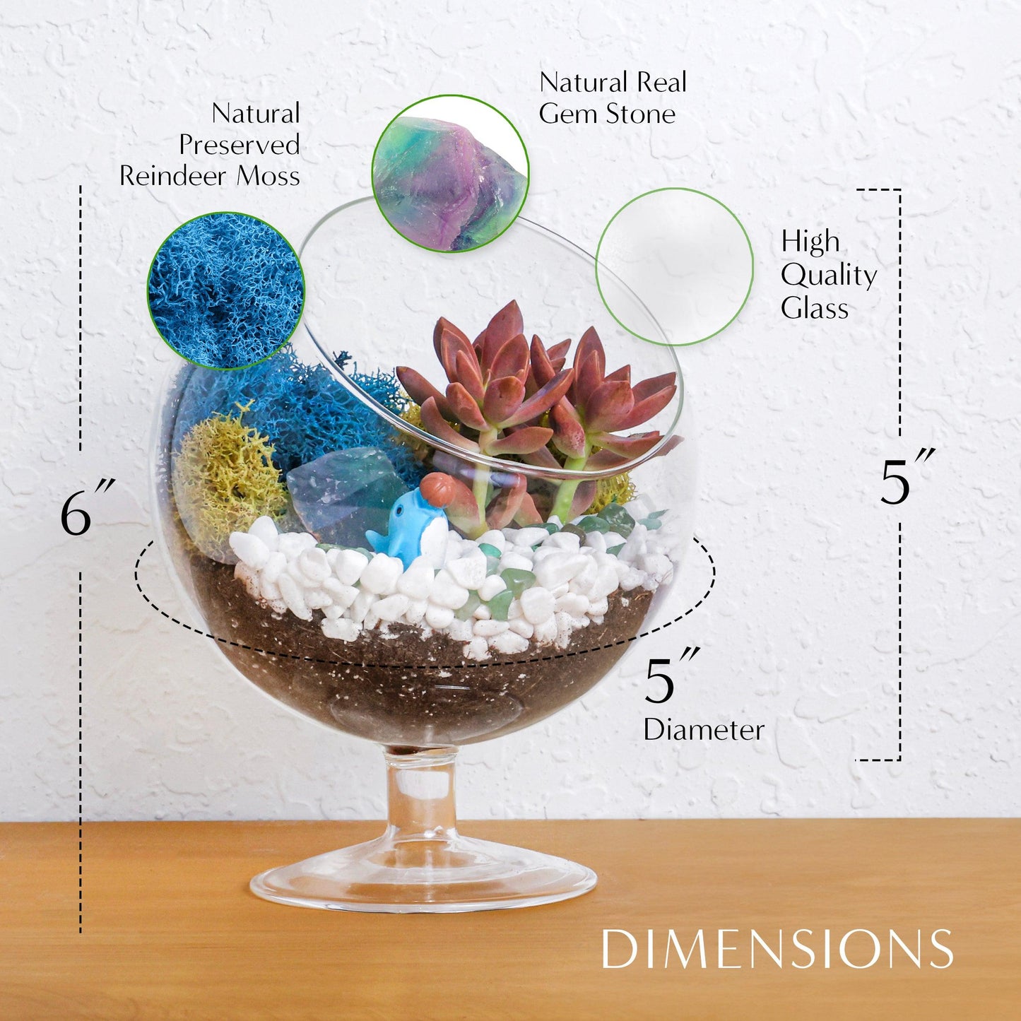 6" Glass Chalice Succulent Terrarium Kit