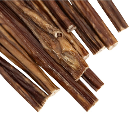 - image on Tampa Home & Garden Store