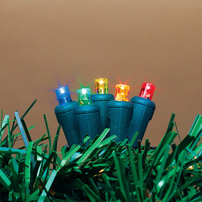 60 Indoor/Outdoor LED String Light - Multi Color - Green Wire - Tampa Home & Garden Store
