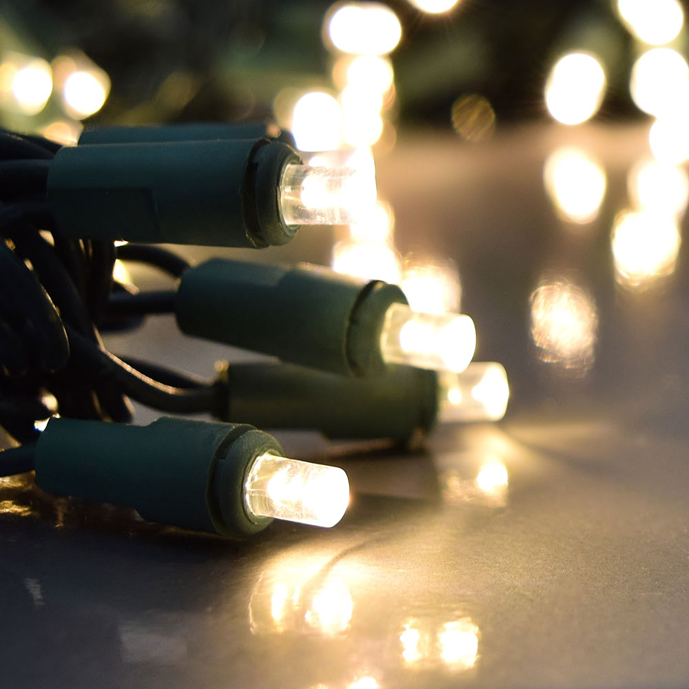 60 Warm White LED 16 Function String Light - Tampa Home & Garden Store